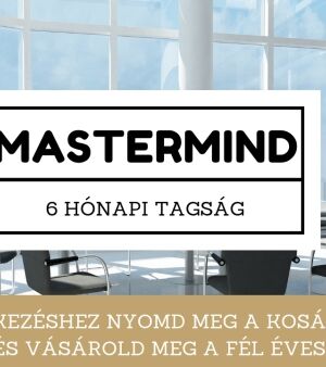 MASTERMIND - 6 honap